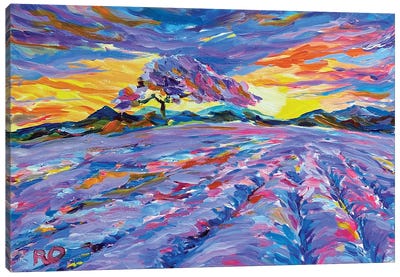 Lavender Sunset Canvas Art Print - Lavender Art