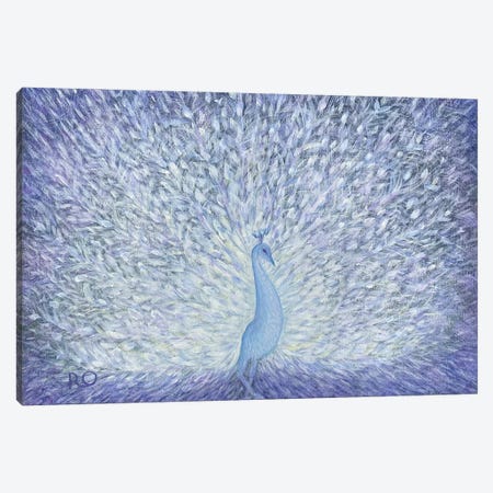 White Peacock Canvas Print #ROU74} by RO ArtUS Canvas Wall Art