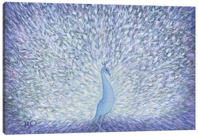 White Peacock Canvas Art Print - RO ArtUS
