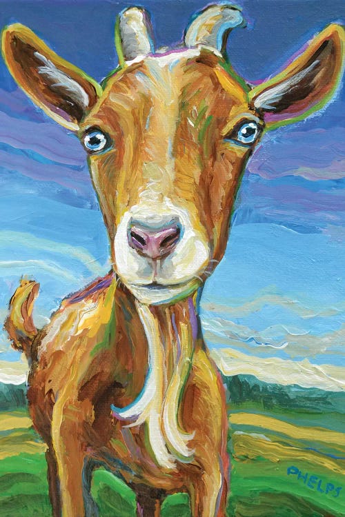 Lillie the Goat by Robert Phelps wall art
