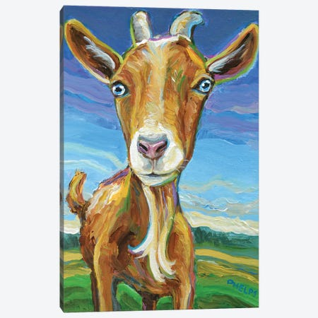 Lillie the Goat Canvas Print #RPH100} by Robert Phelps Canvas Print
