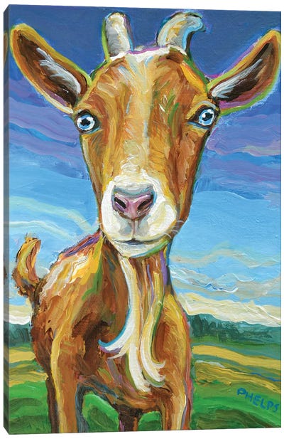 Lillie the Goat Canvas Art Print - Robert Phelps