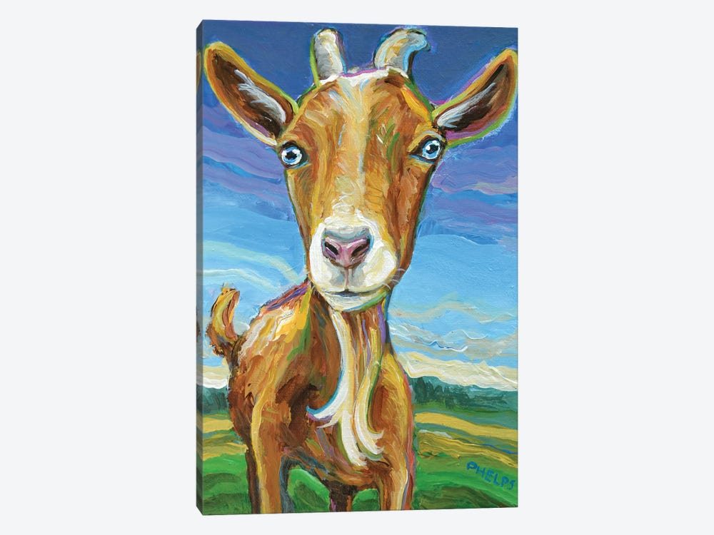 Lillie the Goat by Robert Phelps 1-piece Canvas Art Print