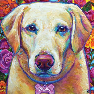 Molly the Blond Lab by Robert Phelps framed wall art