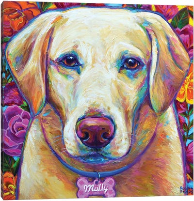 Molly the Blond Lab Canvas Art Print - Labrador Retriever Art
