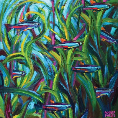 Neon Tetras by Robert Phelps canvas print