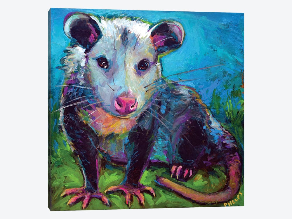 Oppossum by Robert Phelps 1-piece Canvas Art