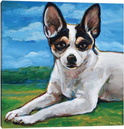 Rat Terrier Canvas Art Print