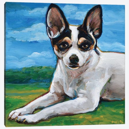 Rat Terrier Canvas Print #RPH104} by Robert Phelps Canvas Art