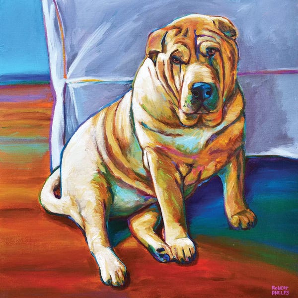 Robert Phelps: Shar-pei by Robert Phelps