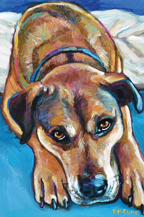 Sienna the Mastiff Mix by Robert Phelps wall art