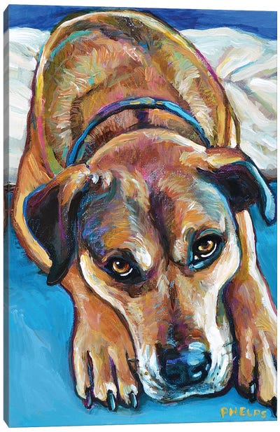Sienna the Mastiff Mix Canvas Art Print - Robert Phelps