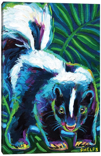 Skunk Canvas Art Print - Robert Phelps
