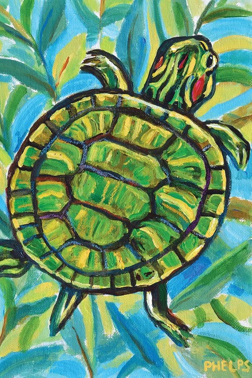 Slider Turtle by Robert Phelps wall art