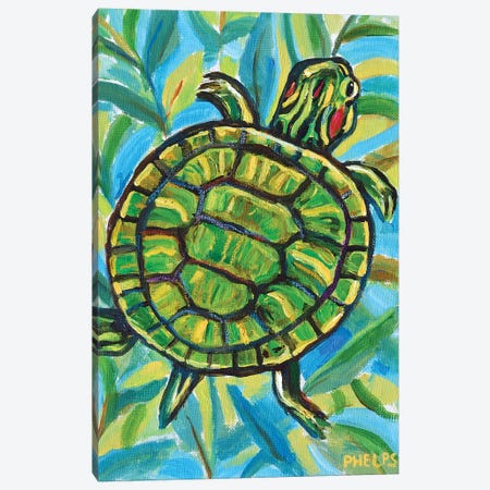 Slider Turtle Canvas Print #RPH109} by Robert Phelps Canvas Print