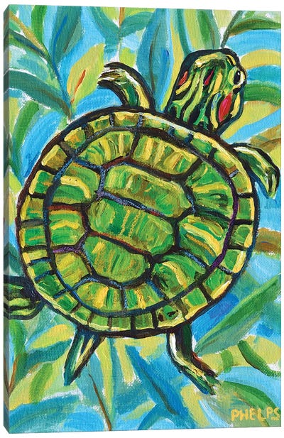Slider Turtle Canvas Art Print - Robert Phelps