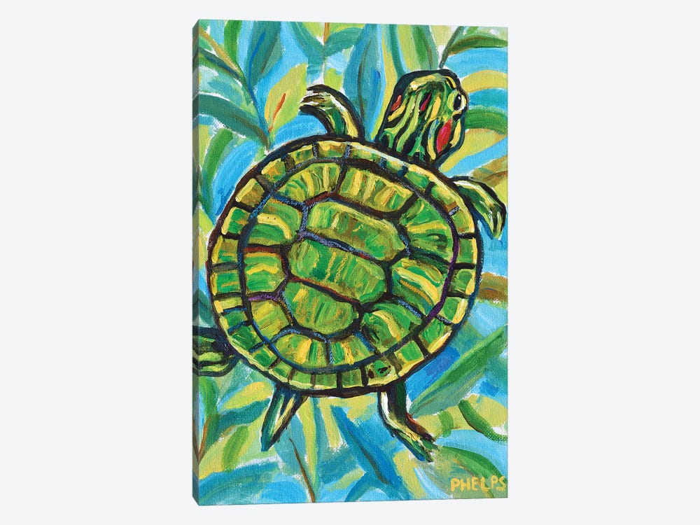 Slider Turtle by Robert Phelps 1-piece Canvas Art