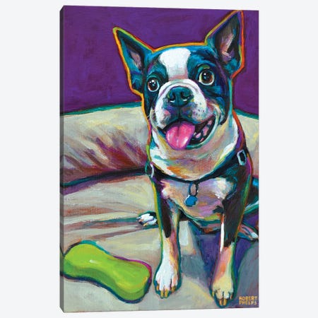 Boston Terrier And Toy Canvas Print #RPH10} by Robert Phelps Canvas Art Print