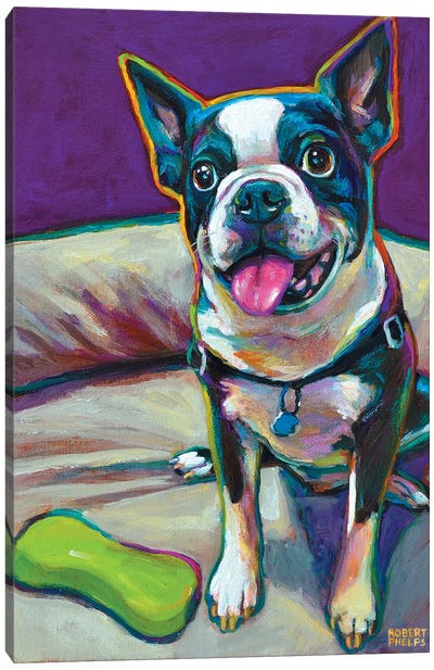 Boston Terrier And Toy Canvas Art Print - Robert Phelps