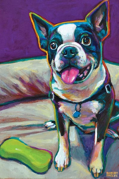 Robert Phelps: Boston Terrier And Toy by Robert Phelps
