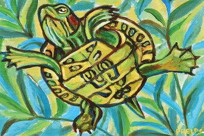 Slider Turtle Swimming by Robert Phelps framed canvas print