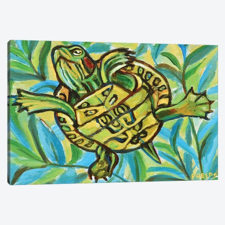Slider Turtle Swimming Canvas Print #RPH110} by Robert Phelps Canvas Artwork