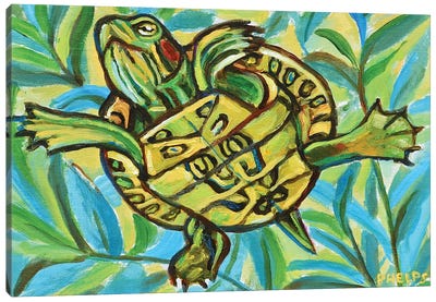 Slider Turtle Swimming Canvas Art Print - Robert Phelps