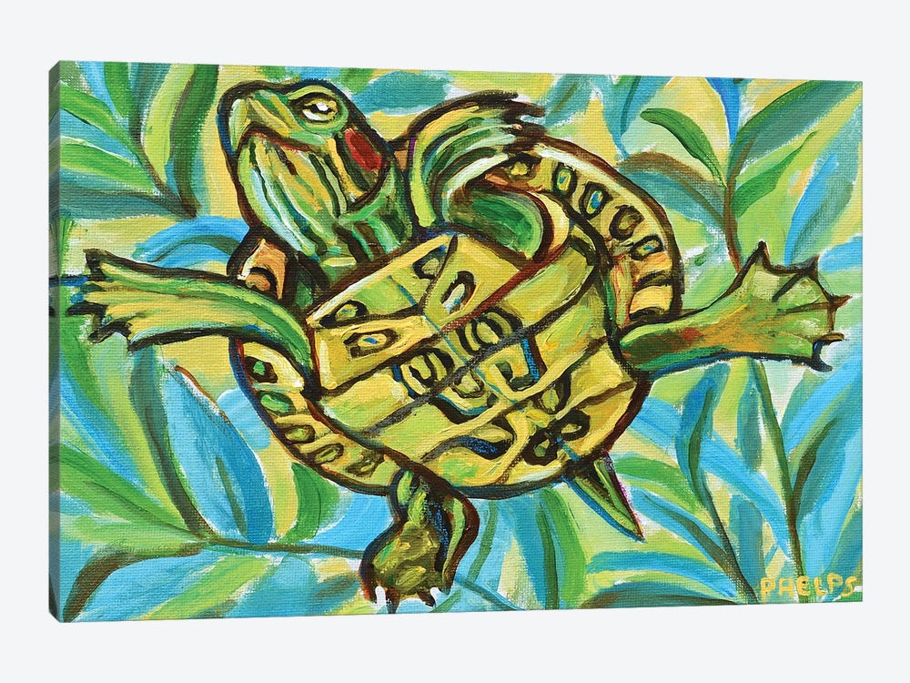 Slider Turtle Swimming by Robert Phelps 1-piece Canvas Artwork