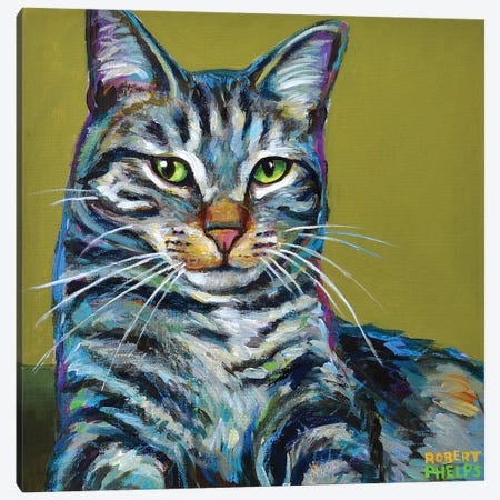 Striped Tabby on Green Canvas Print #RPH113} by Robert Phelps Canvas Wall Art