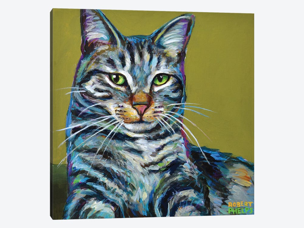 Striped Tabby on Green by Robert Phelps 1-piece Canvas Print