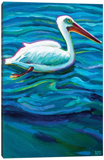 Swimming Pelican Canvas Art Print - Pelican Art