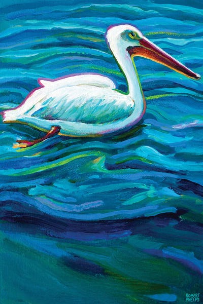 Robert Phelps: Swimming Pelican by Robert Phelps