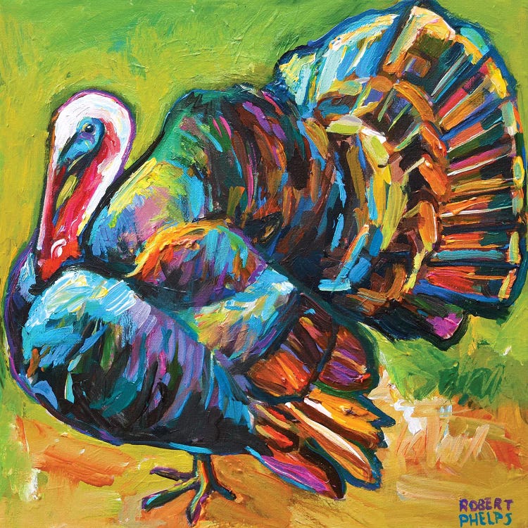 Turkey by Robert Phelps wall art