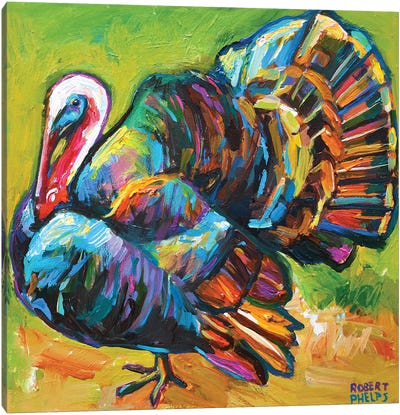 Turkey Canvas Art Print - Robert Phelps