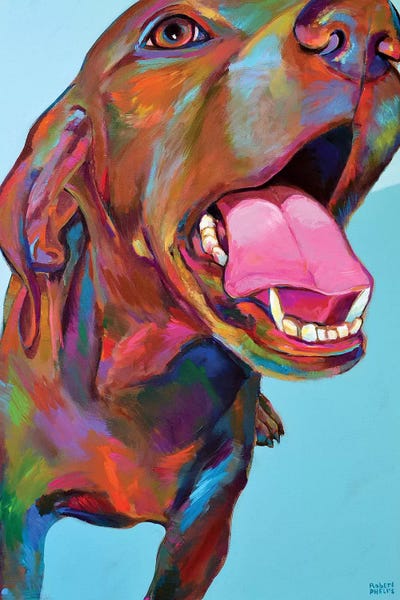 Robert Phelps: Vizsla by Robert Phelps