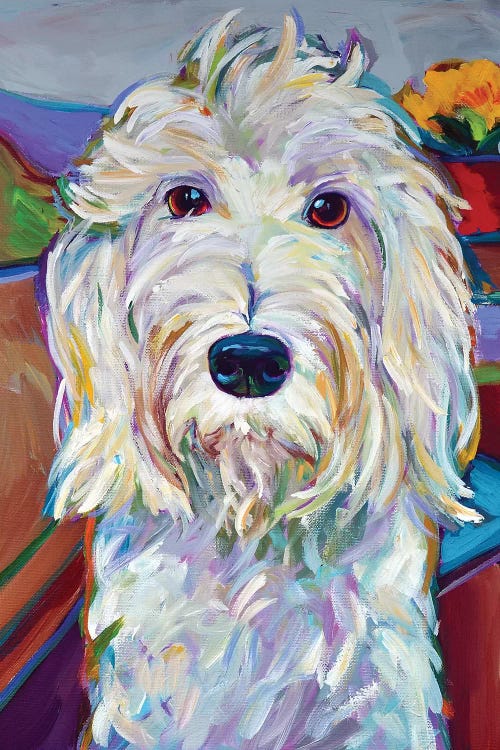 Willy the Schnoodle by Robert Phelps wall art