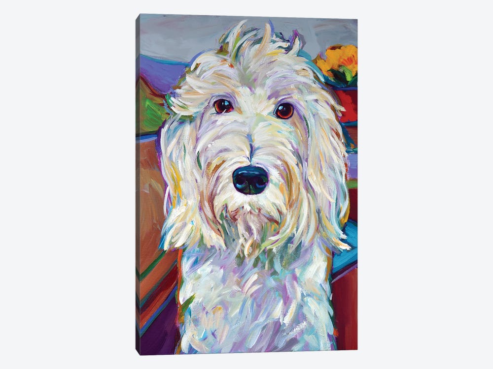Willy the Schnoodle by Robert Phelps 1-piece Canvas Artwork