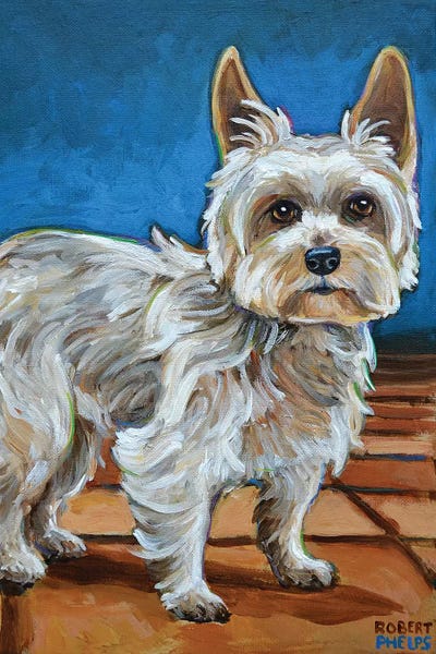 Yorkie by Robert Phelps metal wall art