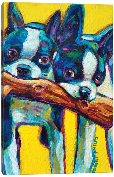 Boston Terrier Puppies Canvas Art Print