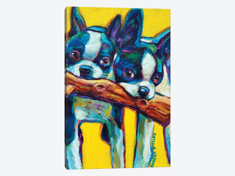 Boston Terrier Puppies by Robert Phelps 1-piece Canvas Art