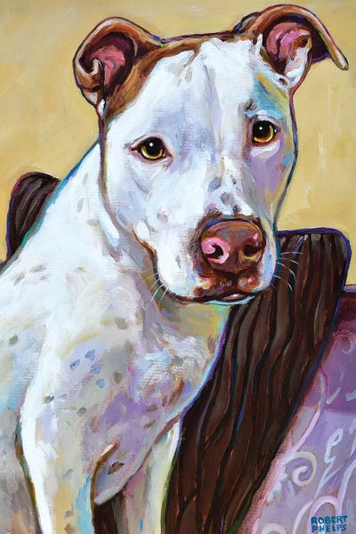 Ziggy by Robert Phelps framed canvas print