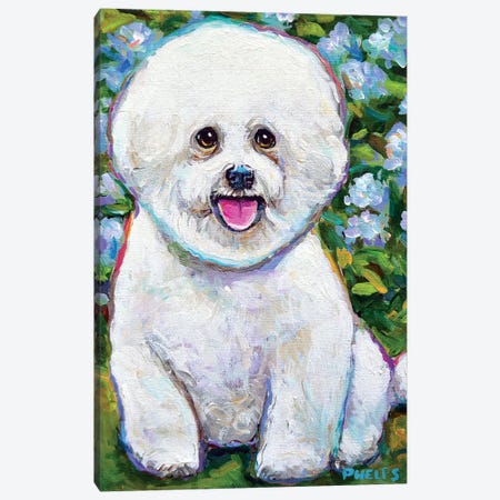 Bichon Frise And Blossoms Canvas Print #RPH123} by Robert Phelps Canvas Art Print