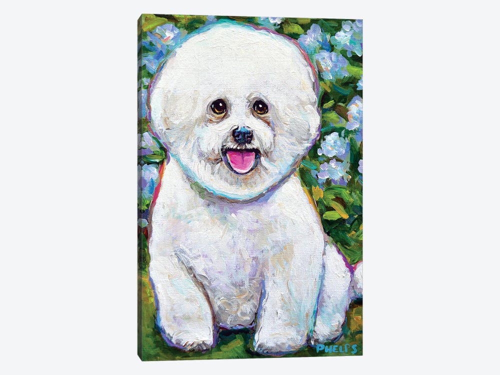 Bichon Frise And Blossoms by Robert Phelps 1-piece Canvas Artwork