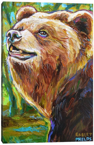 Brown Bear Canvas Art Print - Robert Phelps