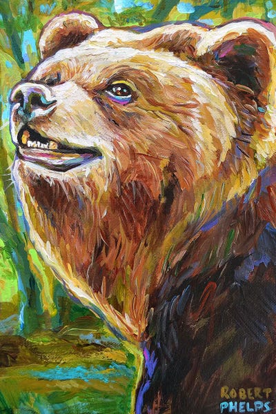 Robert Phelps: Brown Bear by Robert Phelps