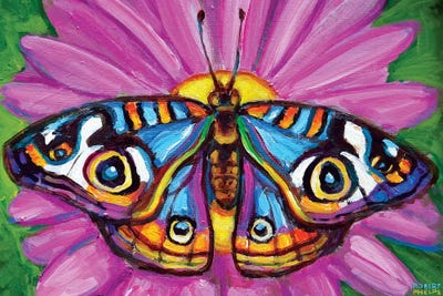 Butterfly And Flower by Robert Phelps framed canvas print