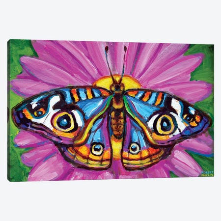 Butterfly And Flower Canvas Print #RPH125} by Robert Phelps Canvas Artwork