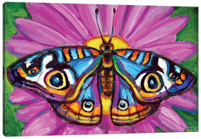 Butterfly And Flower Canvas Art Print - Robert Phelps