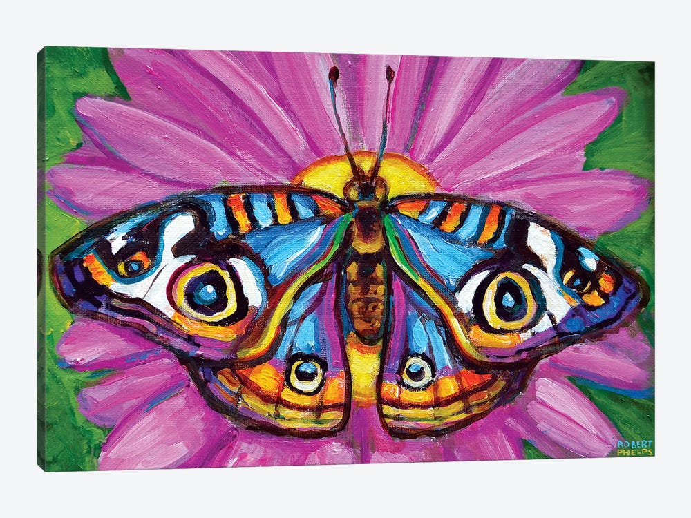 Butterfly And Flower by Robert Phelps 1-piece Canvas Art