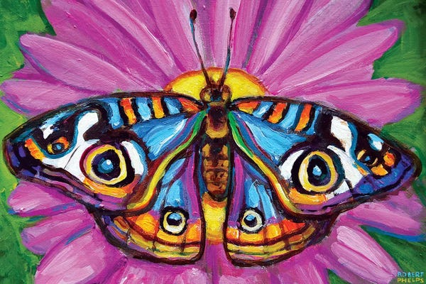 Robert Phelps: Butterfly And Flower by Robert Phelps